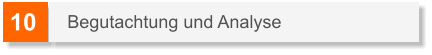 10 Begutachtung und Analyse