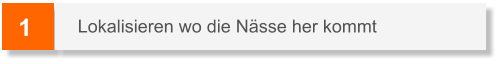 1 Lokalisieren wo die Nässe her kommt